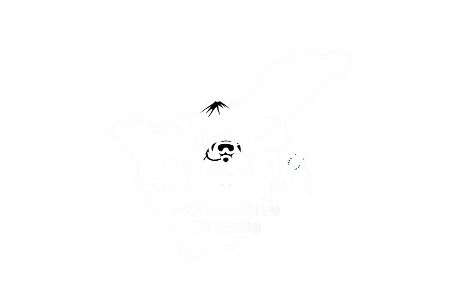 MédanoDive