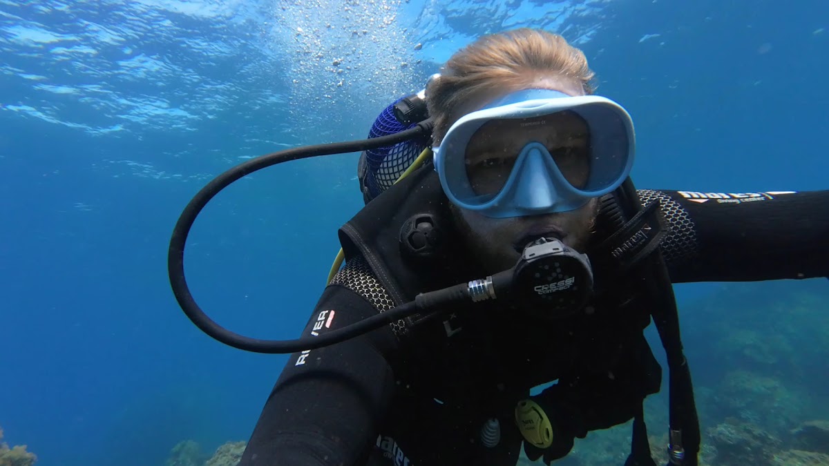Inmersión con MédanoDive en Tenerife