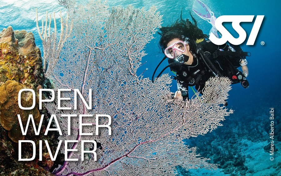 Buceador en aguas abiertas obteniendo su certificación Open Water