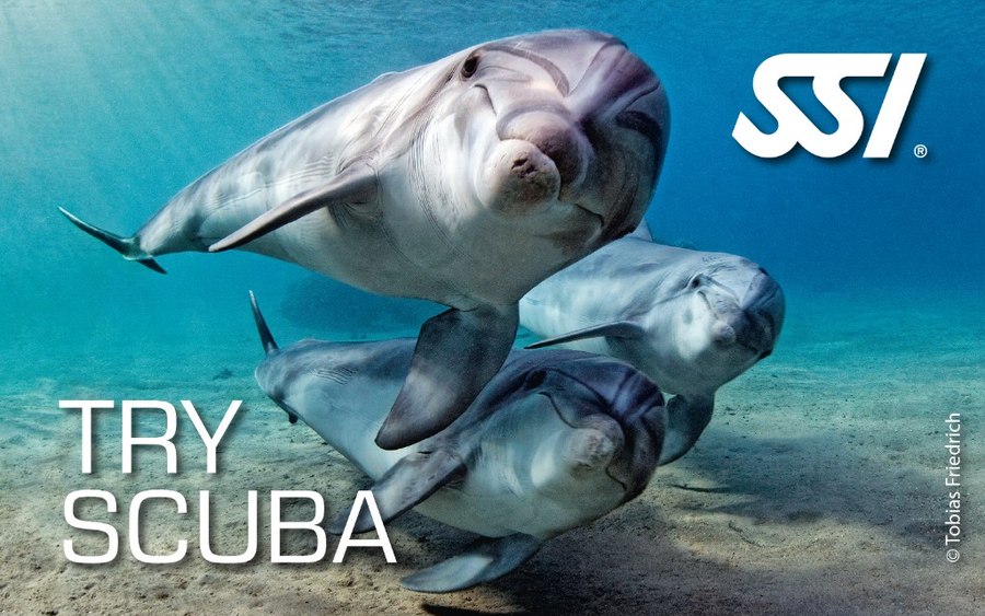 Buceador haciendo su primer bautizo de buceo